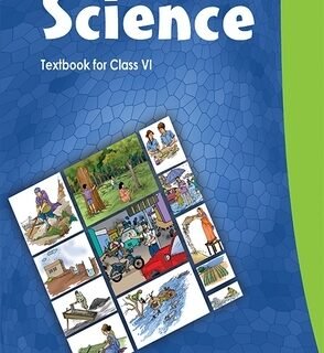 Class-6-Science